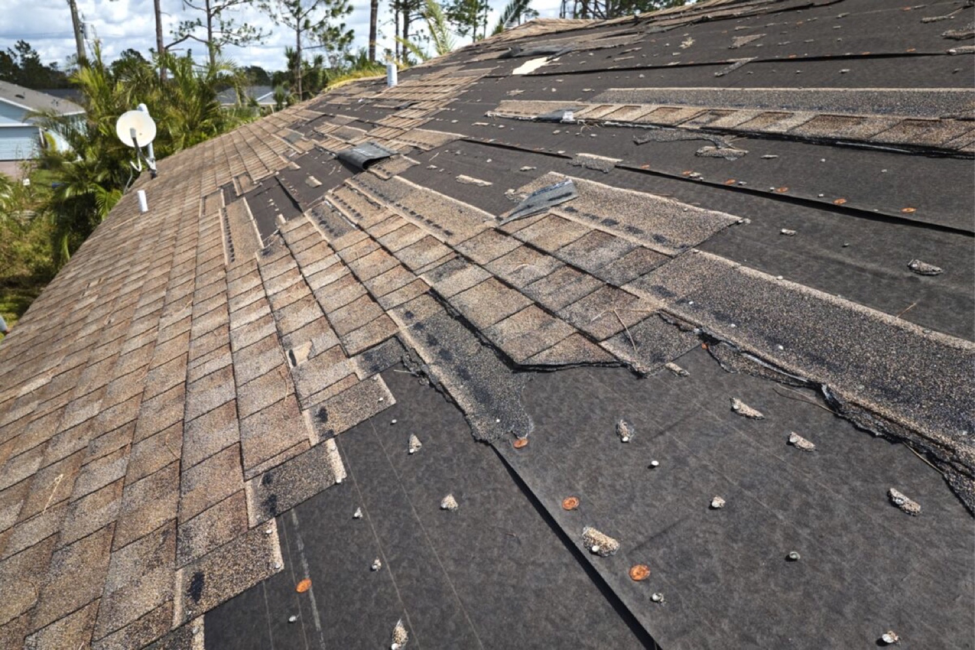 An aging, failing asphalt shingle roof in Massachusetts